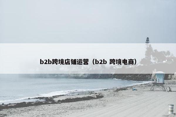 b2b跨境店铺运营（b2b 跨境电商）