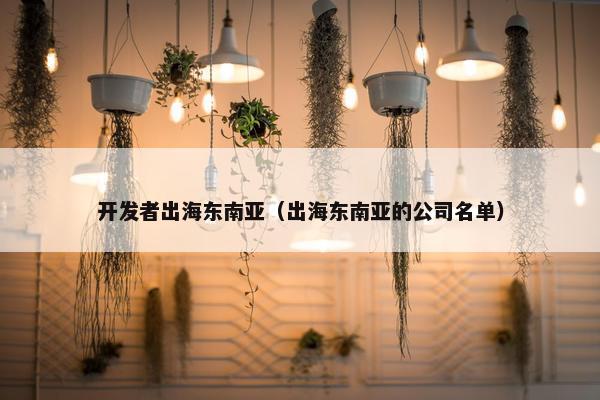 开发者出海东南亚（出海东南亚的公司名单）