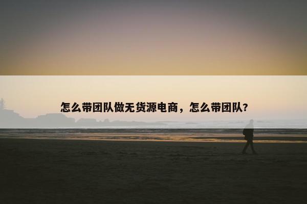 怎么带团队做无货源电商，怎么带团队?