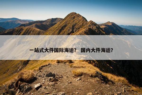 一站式大件国际海运？ 国内大件海运？