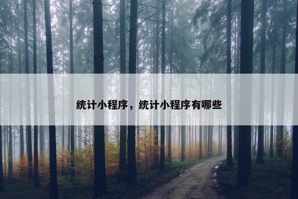 统计小程序，统计小程序有哪些