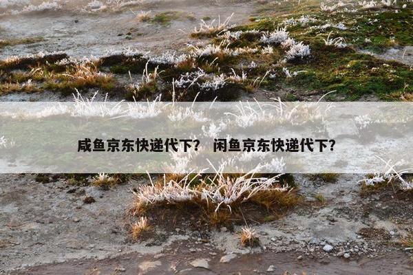 咸鱼京东快递代下？ 闲鱼京东快递代下？