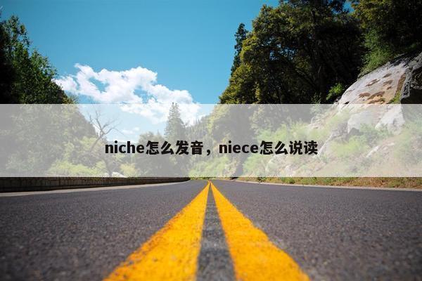 niche怎么发音，niece怎么说读