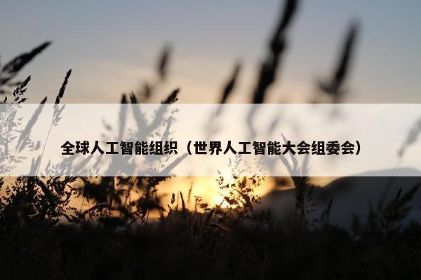 全球人工智能组织（世界人工智能大会组委会）