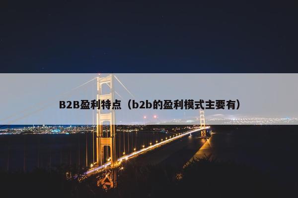 B2B盈利特点（b2b的盈利模式主要有）