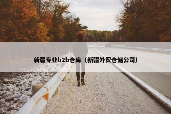 新疆专业b2b仓库（新疆外贸仓储公司）