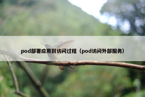 pod部署应用到访问过程（pod访问外部服务）