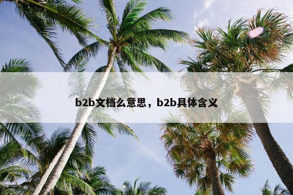 b2b文档么意思，b2b具体含义