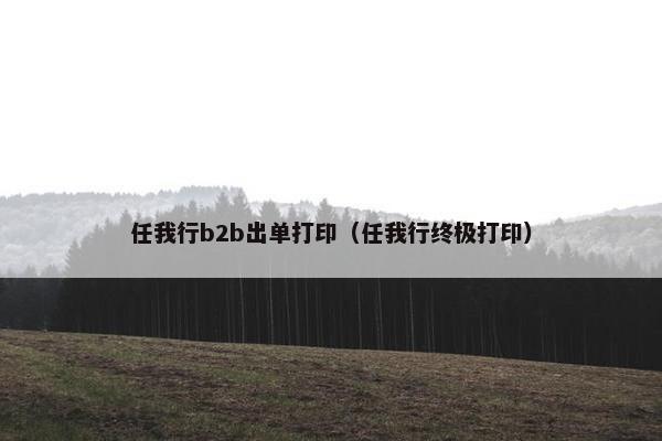 任我行b2b出单打印（任我行终极打印）