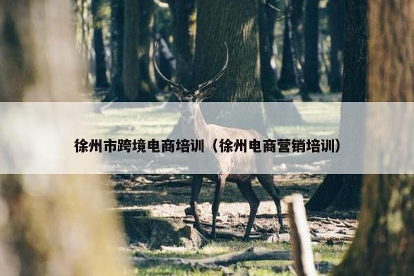 徐州市跨境电商培训（徐州电商营销培训）