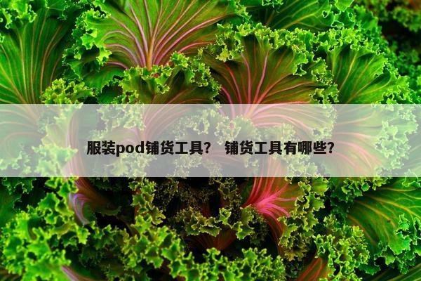 服装pod铺货工具？ 铺货工具有哪些？