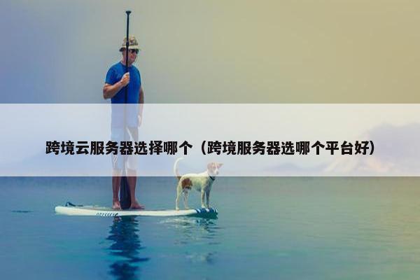 跨境云服务器选择哪个（跨境服务器选哪个平台好）