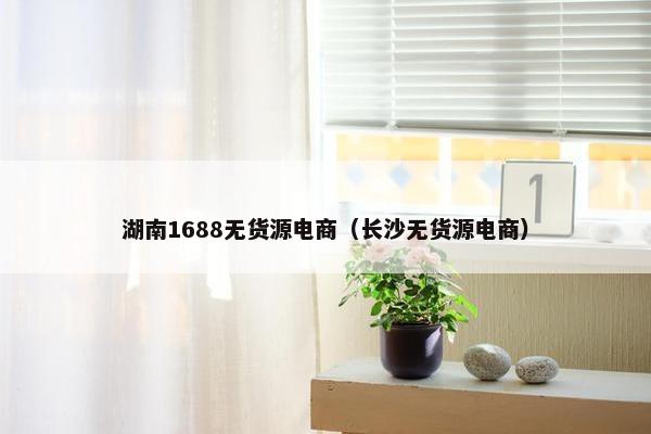 湖南1688无货源电商（长沙无货源电商）