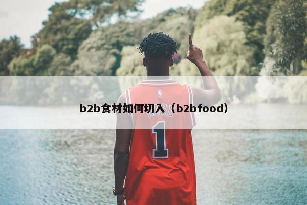 b2b食材如何切入（b2bfood）