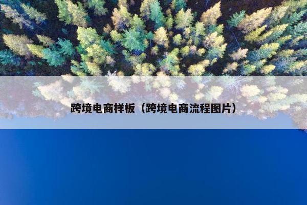跨境电商样板（跨境电商流程图片）