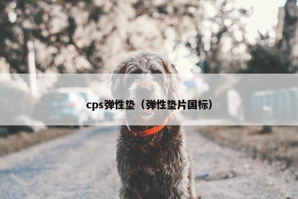 cps弹性垫（弹性垫片国标）
