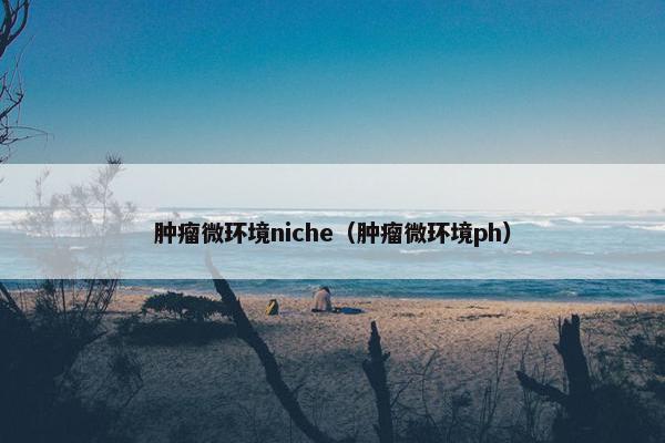 肿瘤微环境niche（肿瘤微环境ph）