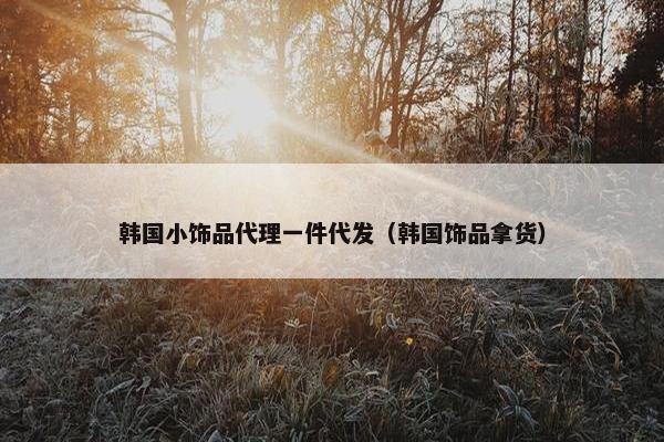 韩国小饰品代理一件代发（韩国饰品拿货）