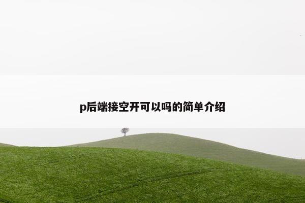 p后端接空开可以吗的简单介绍