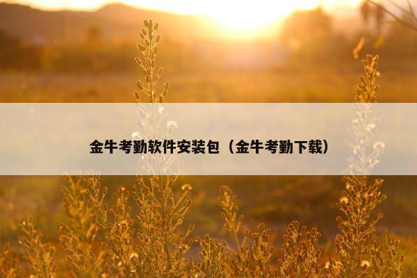 金牛考勤软件安装包（金牛考勤下载）