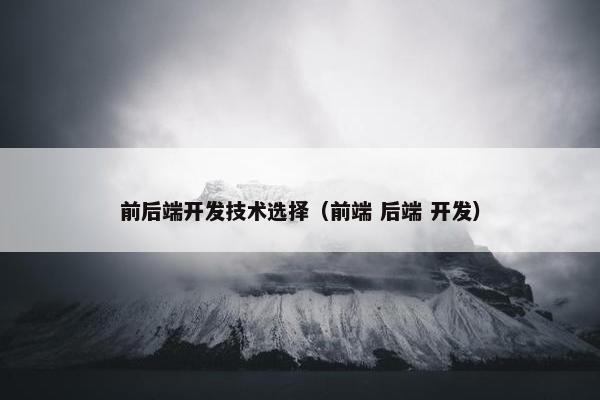 前后端开发技术选择（前端 后端 开发）