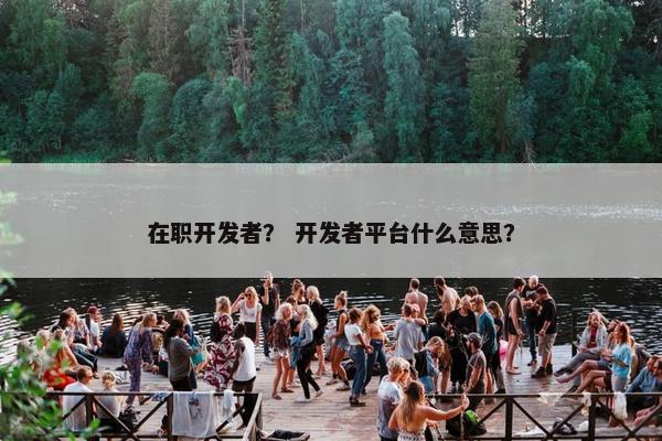 在职开发者？ 开发者平台什么意思？