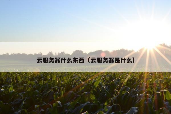 云服务器什么东西（云服务器是什么）