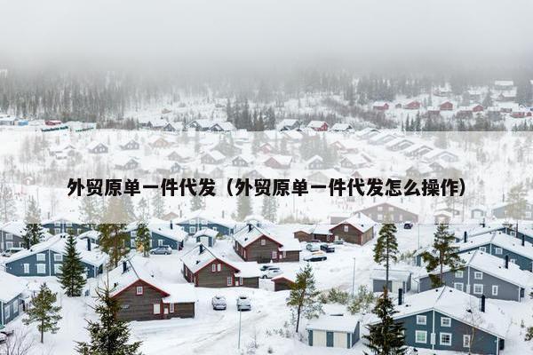 外贸原单一件代发（外贸原单一件代发怎么操作）