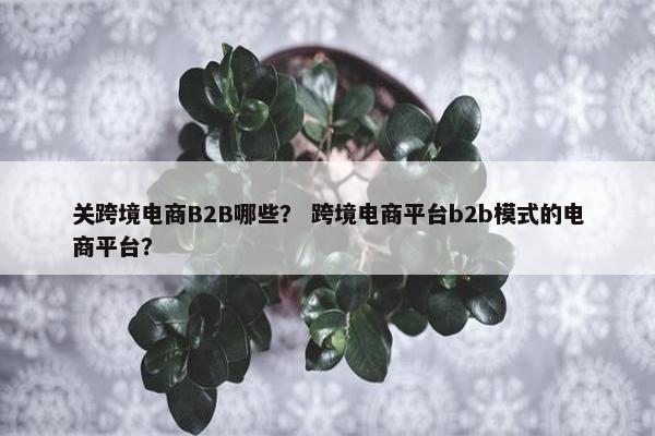 关跨境电商B2B哪些？ 跨境电商平台b2b模式的电商平台？