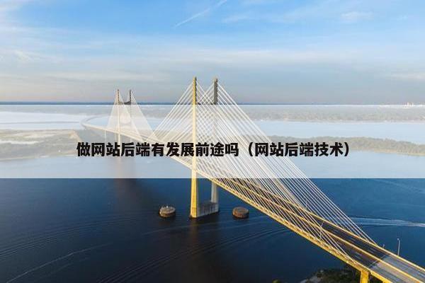 做网站后端有发展前途吗（网站后端技术）