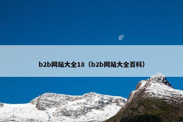 b2b网站大全18（b2b网站大全百科）