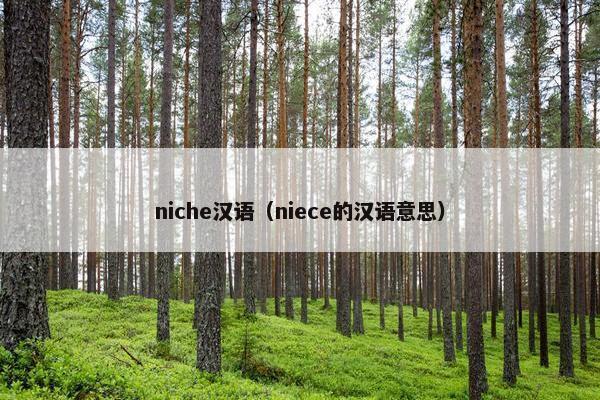 niche汉语（niece的汉语意思）