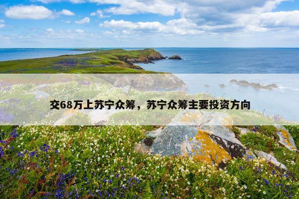 交68万上苏宁众筹，苏宁众筹主要投资方向