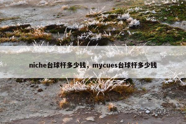 niche台球杆多少钱，mycues台球杆多少钱