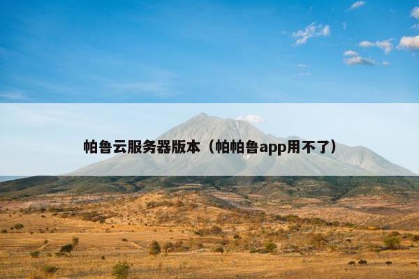 帕鲁云服务器版本（帕帕鲁app用不了）