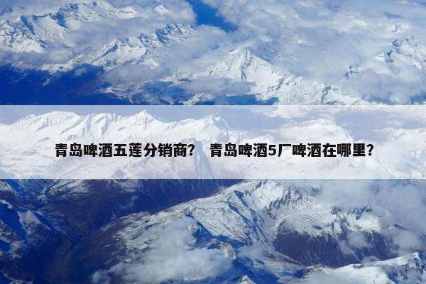 青岛啤酒五莲分销商？ 青岛啤酒5厂啤酒在哪里？
