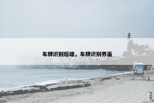 车牌识别后端，车牌识别界面