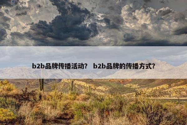 b2b品牌传播活动？ b2b品牌的传播方式？