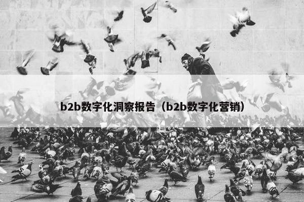 b2b数字化洞察报告（b2b数字化营销）