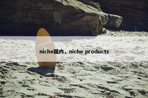 niche国内，niche products