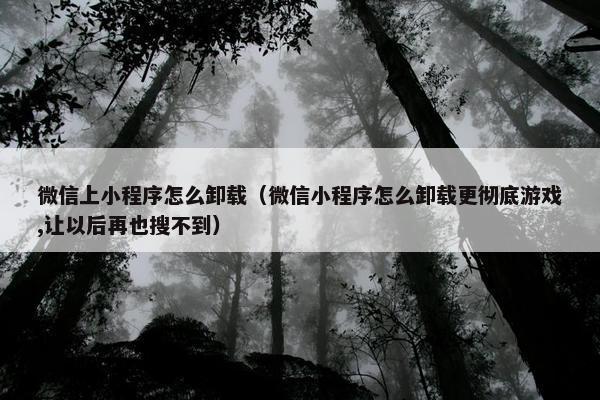 微信上小程序怎么卸载（微信小程序怎么卸载更彻底游戏,让以后再也搜不到）