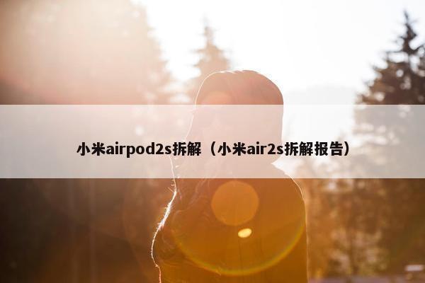 小米airpod2s拆解（小米air2s拆解报告）