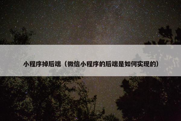 小程序掉后端（微信小程序的后端是如何实现的）