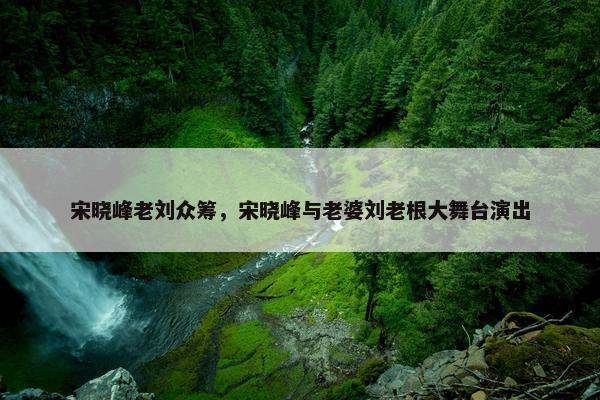 宋晓峰老刘众筹，宋晓峰与老婆刘老根大舞台演出