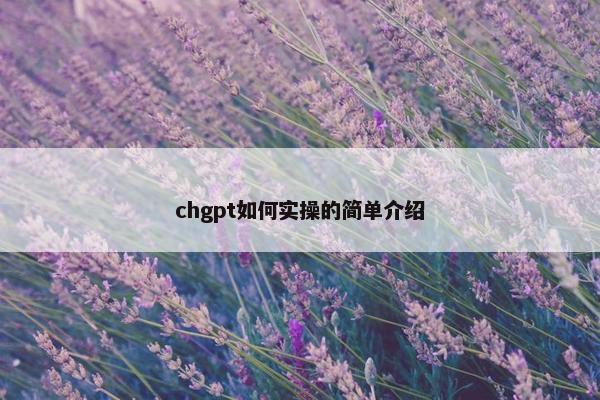 chgpt如何实操的简单介绍