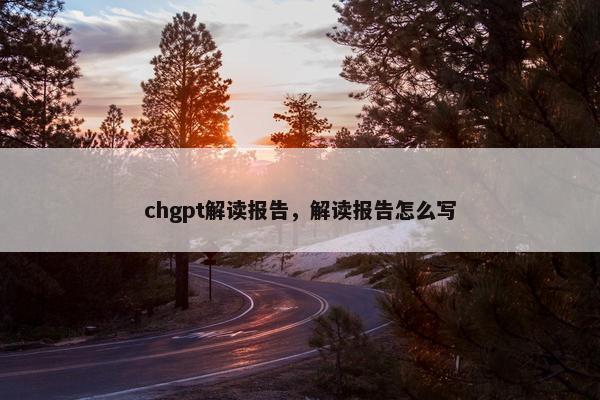 chgpt解读报告，解读报告怎么写