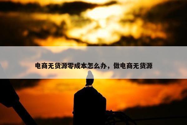 电商无货源零成本怎么办，做电商无货源