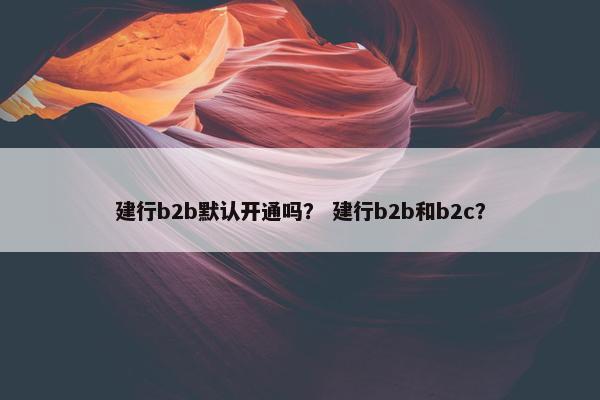 建行b2b默认开通吗？ 建行b2b和b2c？
