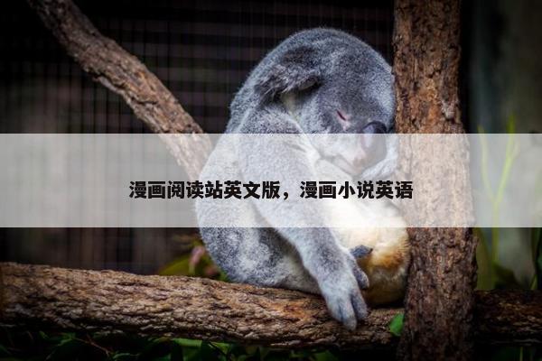 漫画阅读站英文版，漫画小说英语