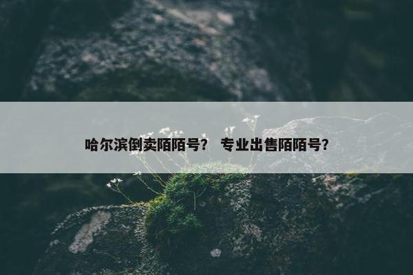 哈尔滨倒卖陌陌号？ 专业出售陌陌号？
